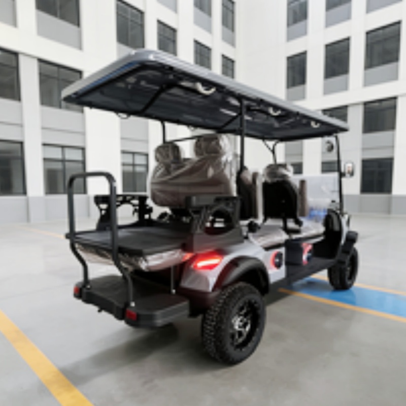 고성능 전기 골프 카트 4000W 모터, 모험 및 야외 - Outdoor Adventure Golf 리뷰 및 가격