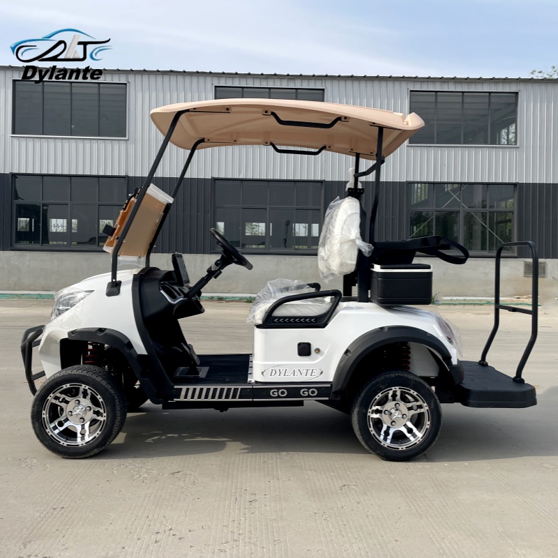 중국산 저속 전기 골프 카트는 강력한 5000W 모터를 - Outdoor Adventure Golf 리뷰 및 가격